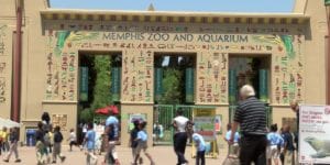 Memphis Zoo named 8th best zoo in the US in USA Today Readers’ Choice poll