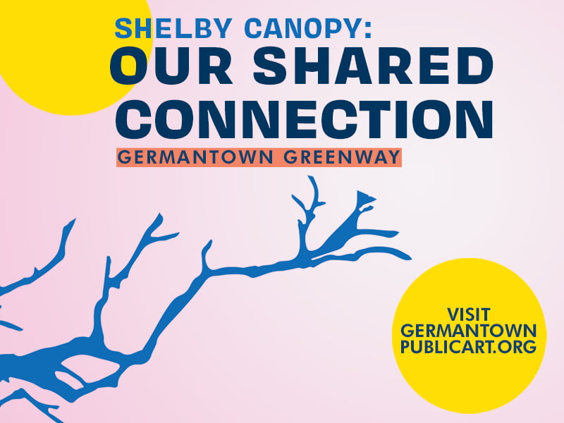 Shelby Canopy: Our Shared Connection