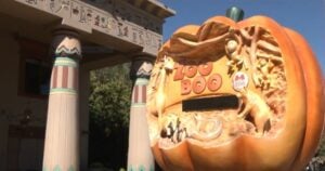 Memphis Madness Heads to the Memphis Zoo for the First Time